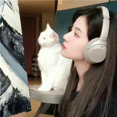 冒牌鹦鹉